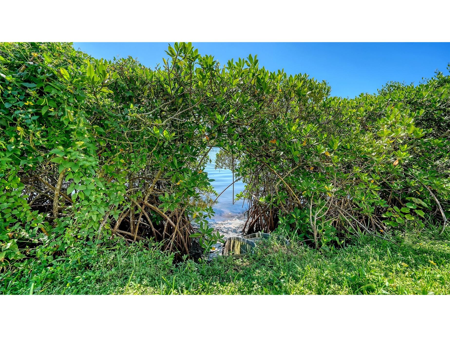 5420 Eagles Point Circle #406 Sarasota FL 34231 A4695955 image45