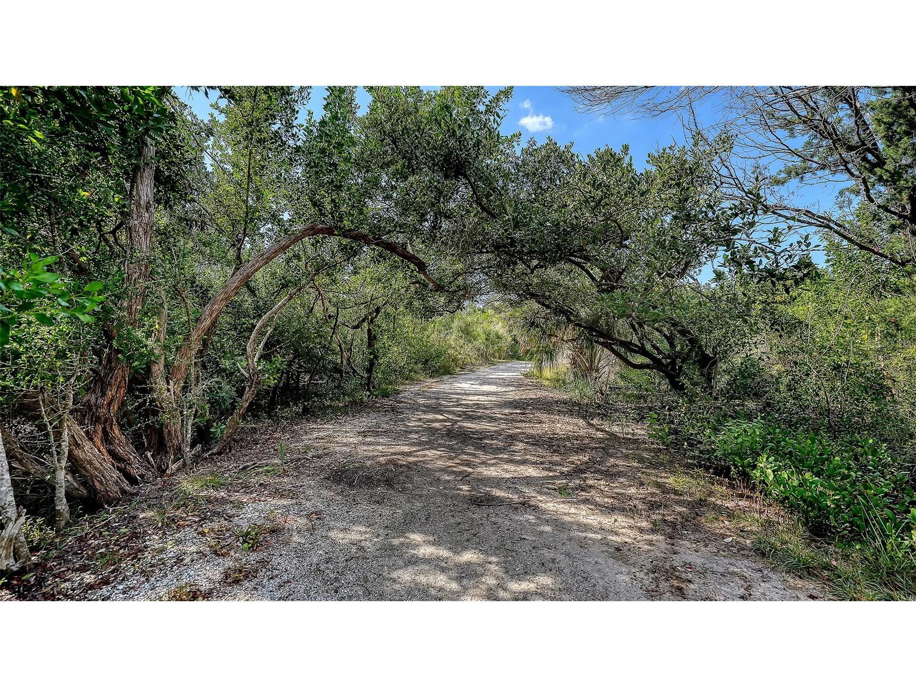 5420 Eagles Point Circle #406 Sarasota FL 34231 A4695955 image77