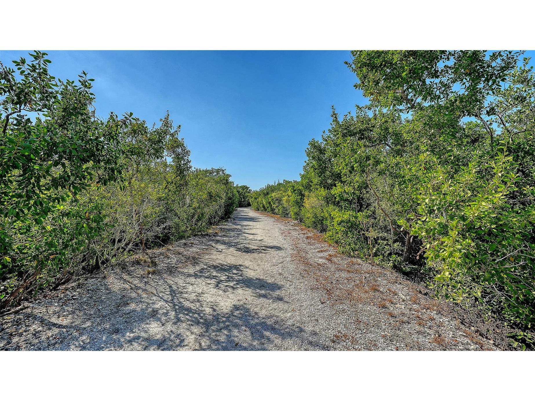5420 Eagles Point Circle #406 Sarasota FL 34231 A4695955 image79