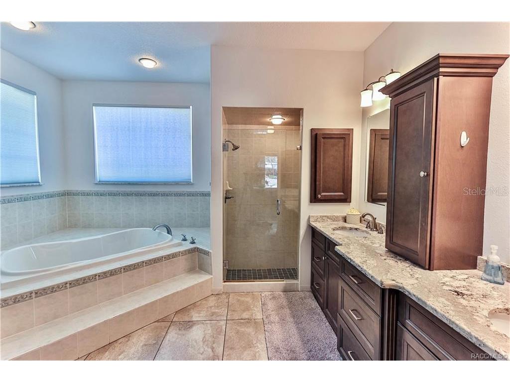 5420 N Rosedale Circle Beverly Hills FL 34465 OM720309 image25