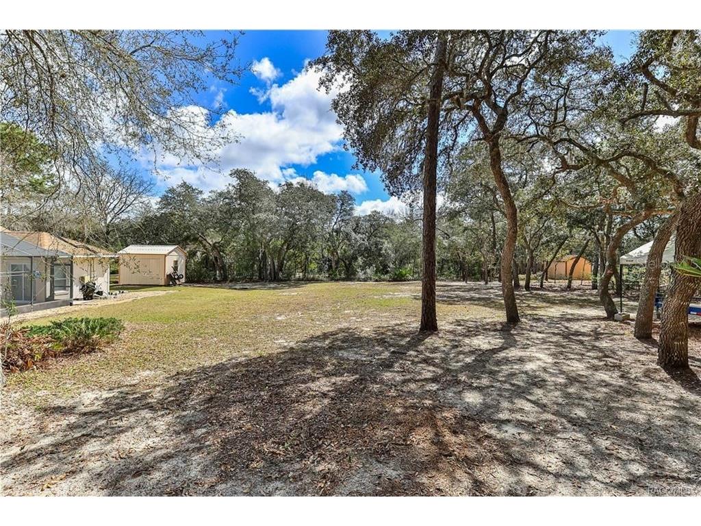 5420 N Rosedale Circle Beverly Hills FL 34465 OM720309 image47