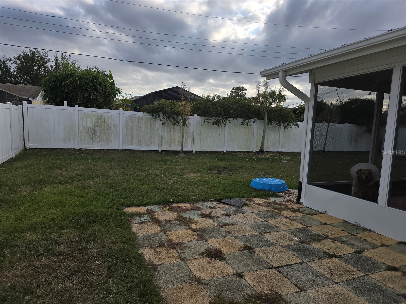 5420 Starwood Place Sarasota FL 34232 A4678412 image4