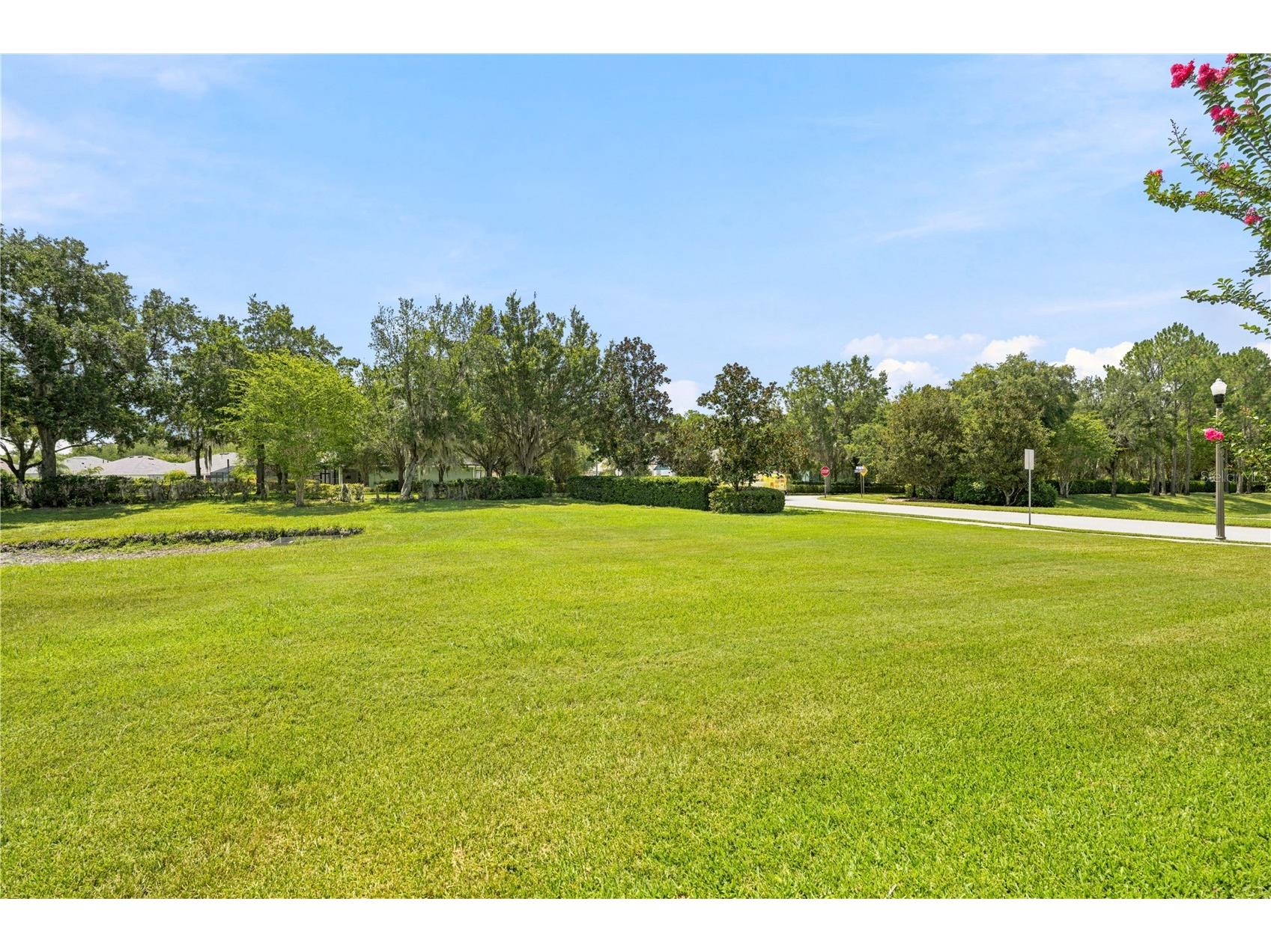5421 Cappleman Loop Brooksville FL 34601 TB8525873 image38