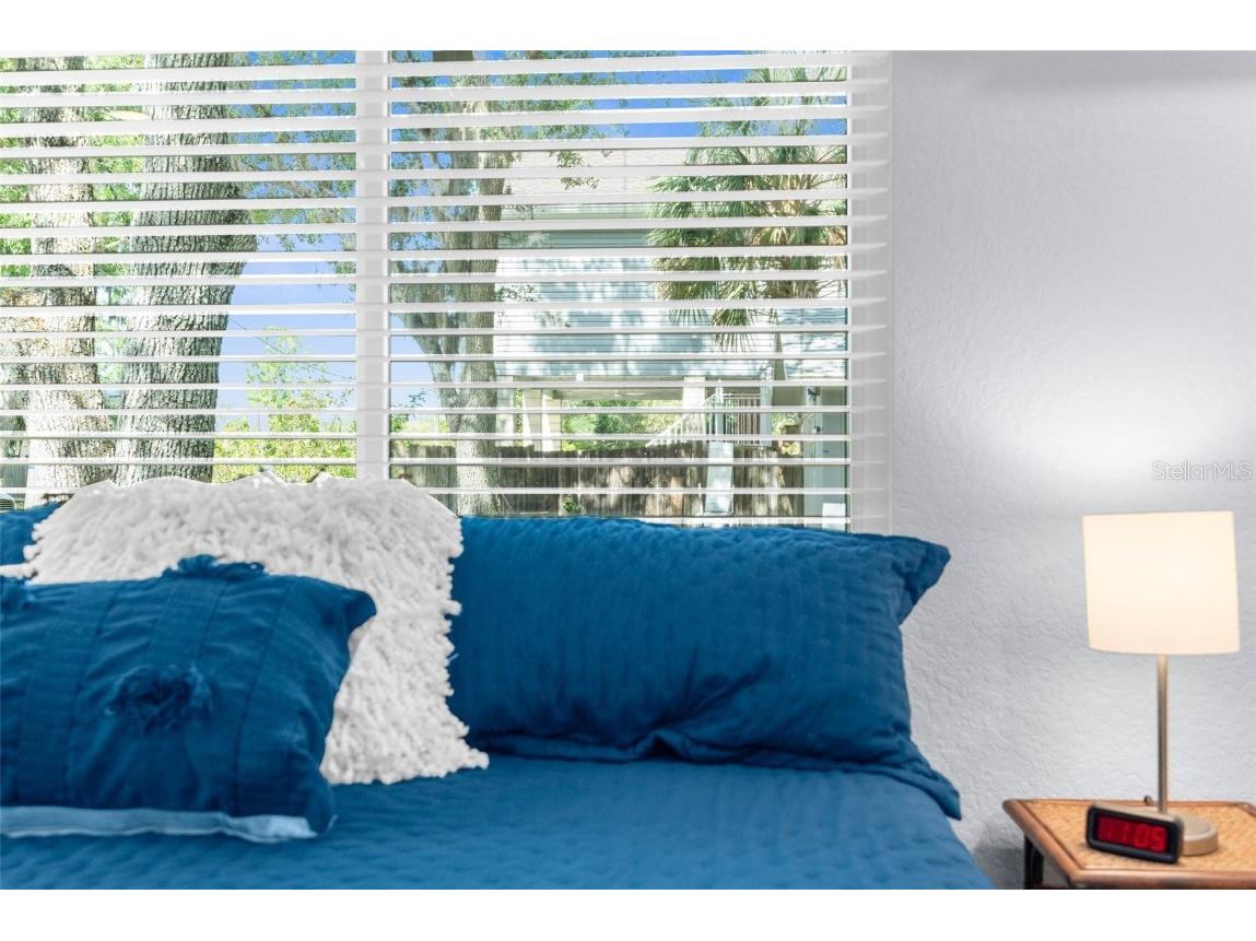 5421 Gay Street Weeki Wachee FL 34607 TB8382284 image28