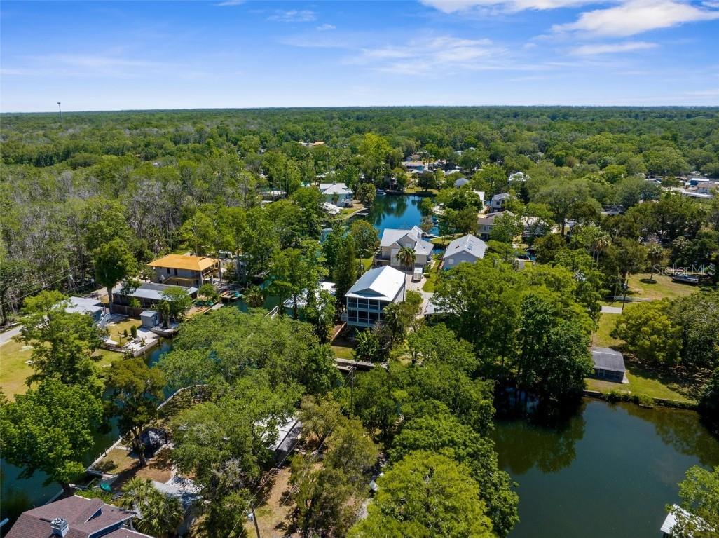 5421 Gay Street Weeki Wachee FL 34607 TB8382284 image50