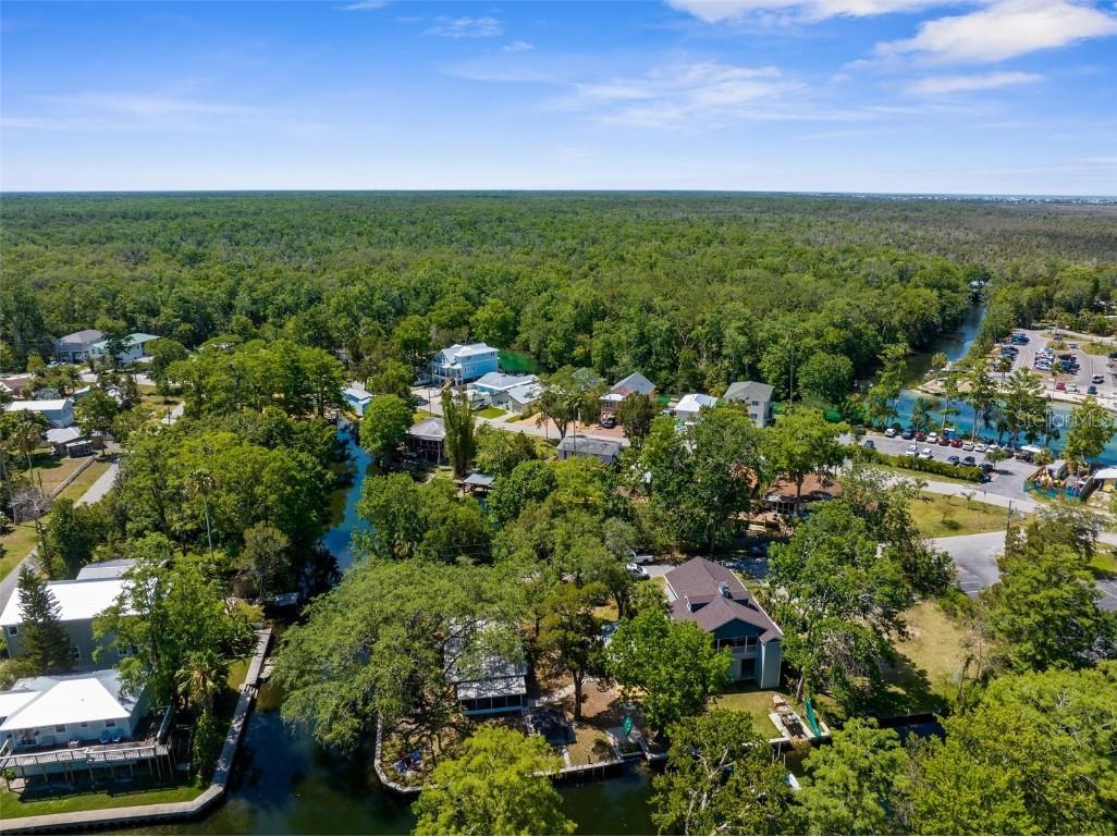 5421 Gay Street Weeki Wachee FL 34607 TB8382284 image51