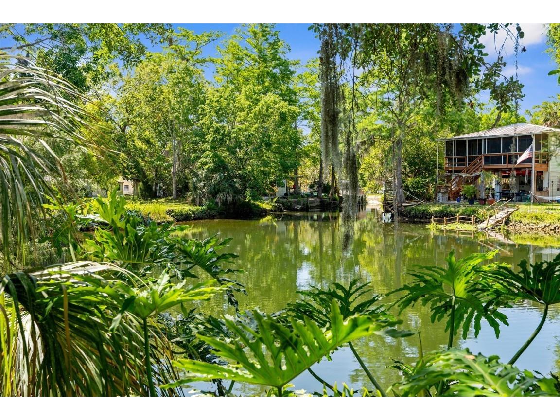 5421 Gay Street Weeki Wachee FL 34607 TB8382284 image8