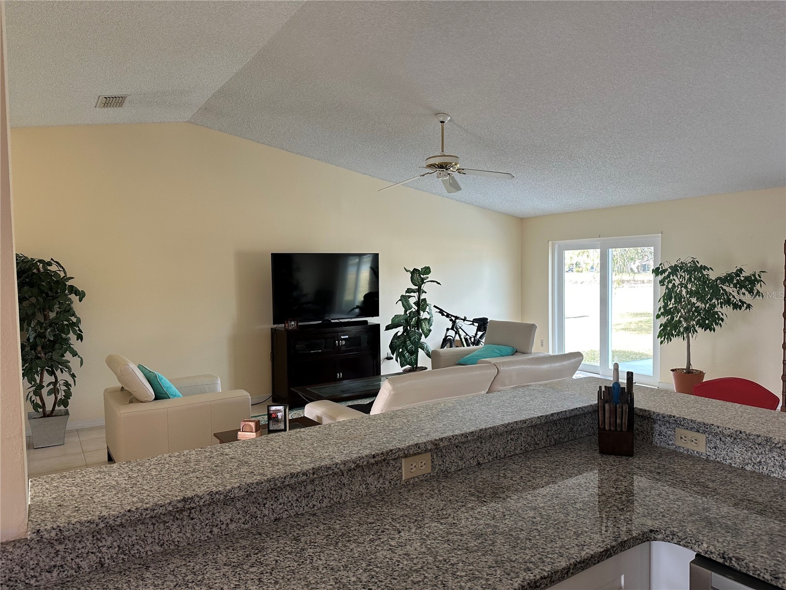 5421 Sandy Hill Drive Orlando FL 32821 O6383426 image7