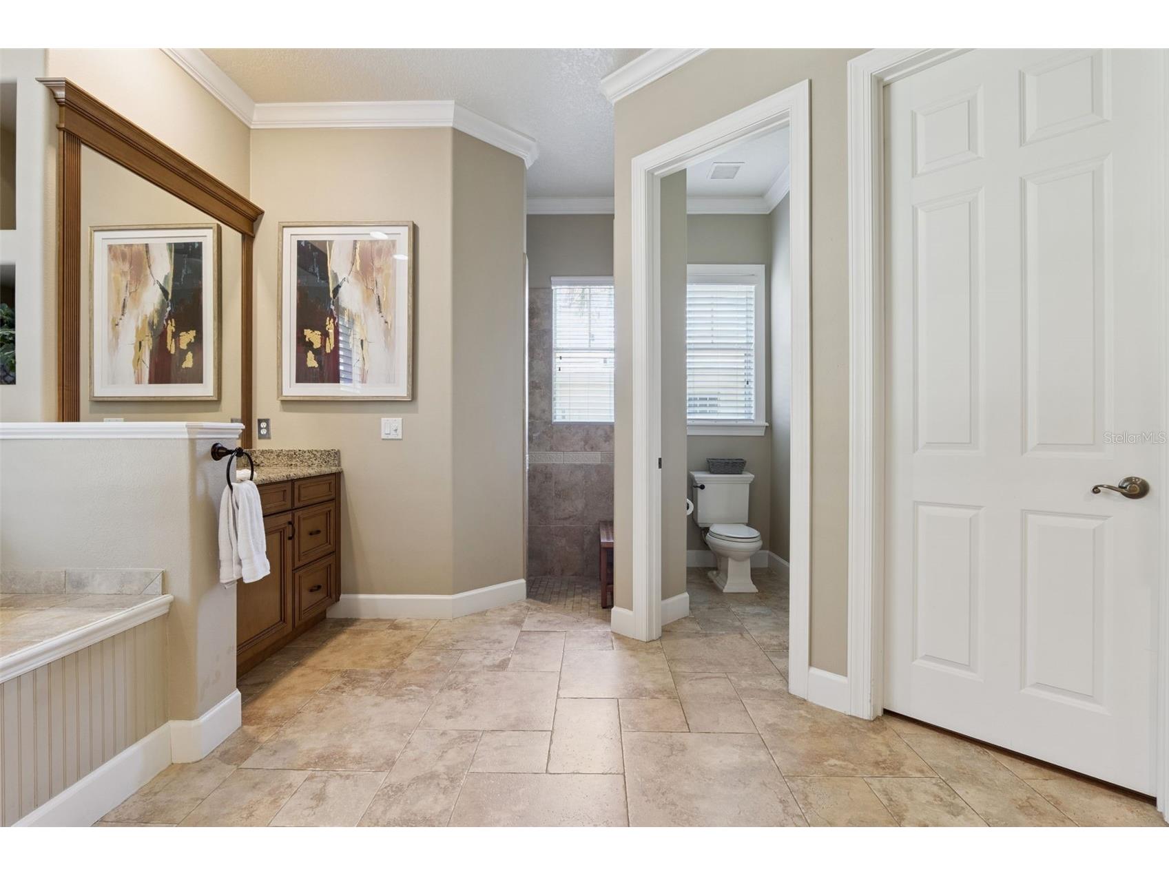 5421 Tildens Grove Boulevard Windermere FL 34786 - POND O6402594 image32