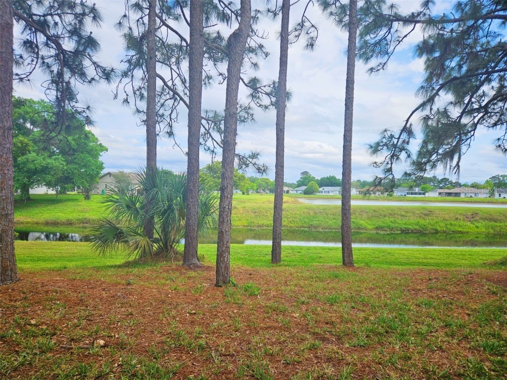 5421 Watervista Drive Orlando FL 32821 O6297400 image31