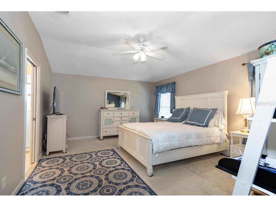 5422 Aurora Drive Leesburg FL 34748 G5104853 image11