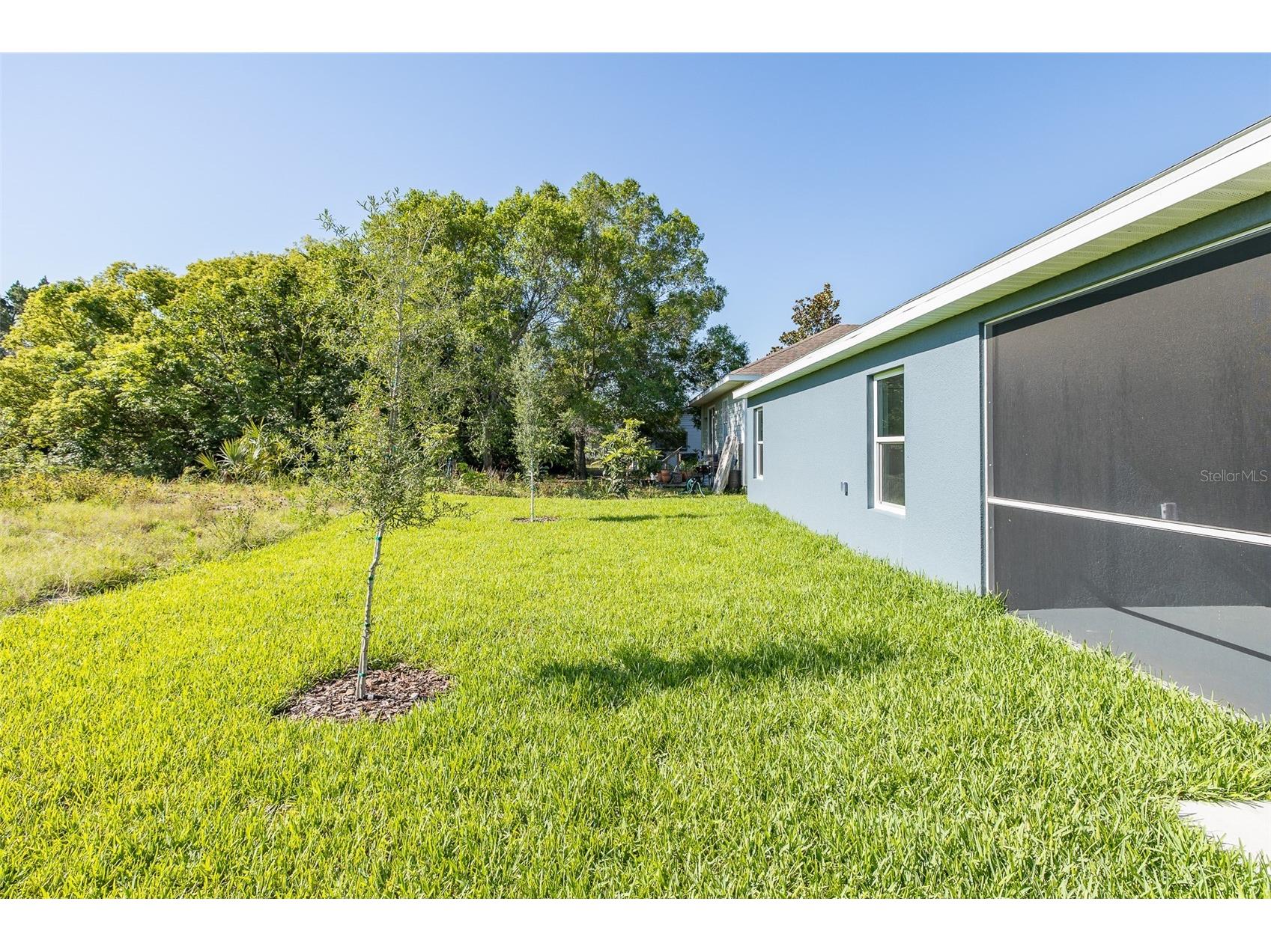 5422 Charles Street New Port Richey FL 34652 W7883180 image28