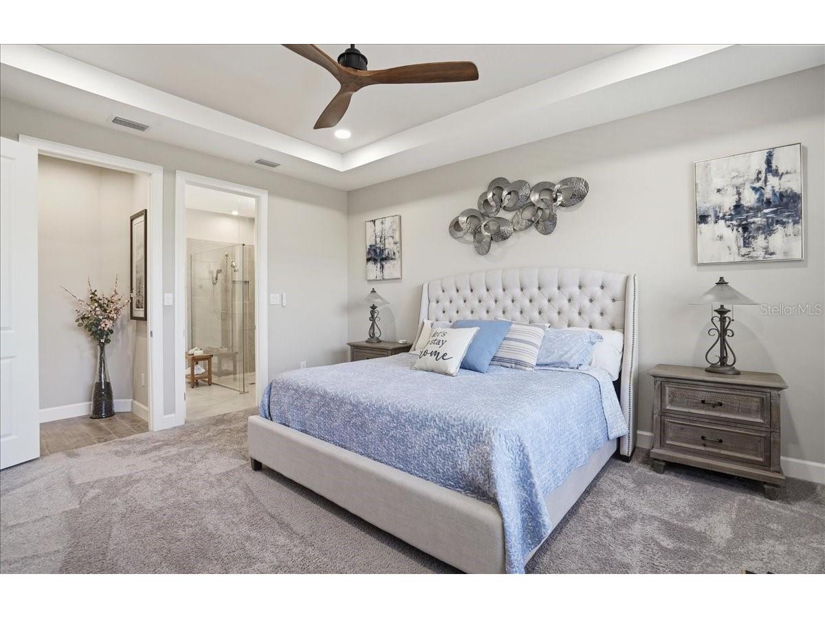 5422 Morey Farms Loop Palmetto FL 34221 A4679729 image29