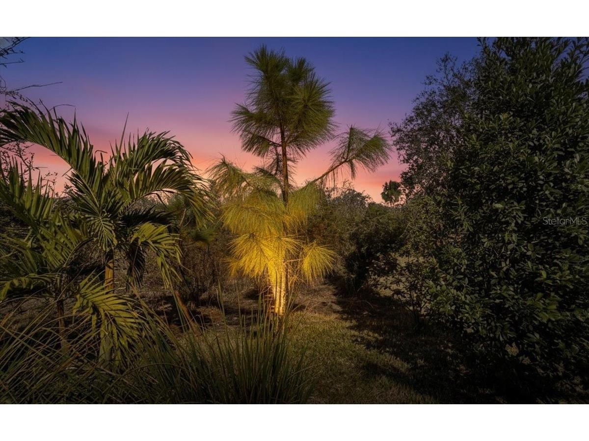 5422 Morey Farms Loop Palmetto FL 34221 A4679729 image60