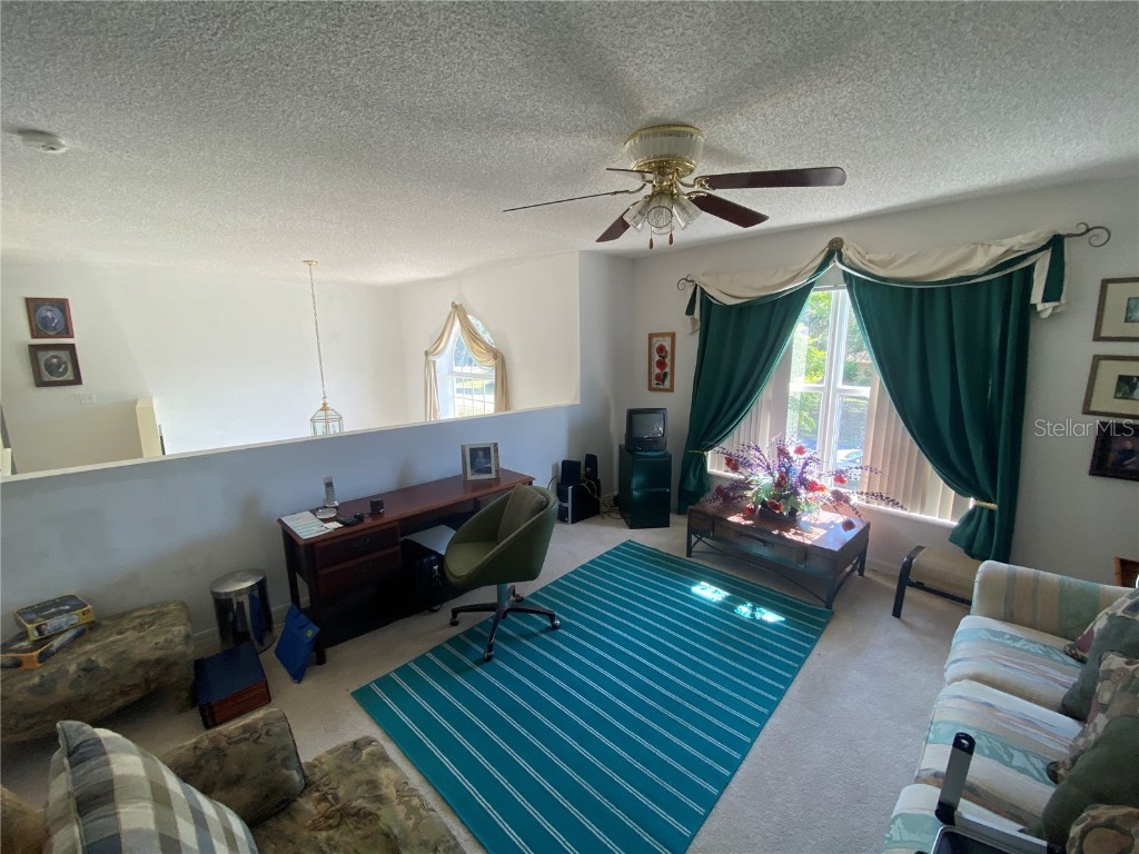 5423 Bayonne Avenue Spring Hill FL 34608 W7865304 image22