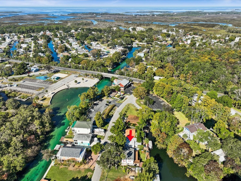 5423 Darlene Street Weeki Wachee FL 34607 - WEEKI WACHEE RIVER CANAL W7871678 image1