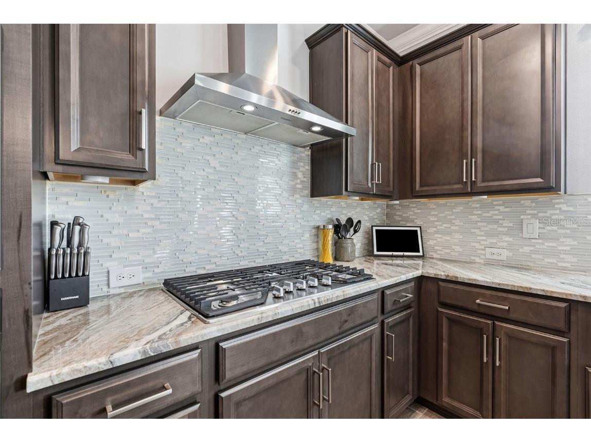 5423 Del Coronado Drive Apollo Beach FL 33572 TB8442392 image20