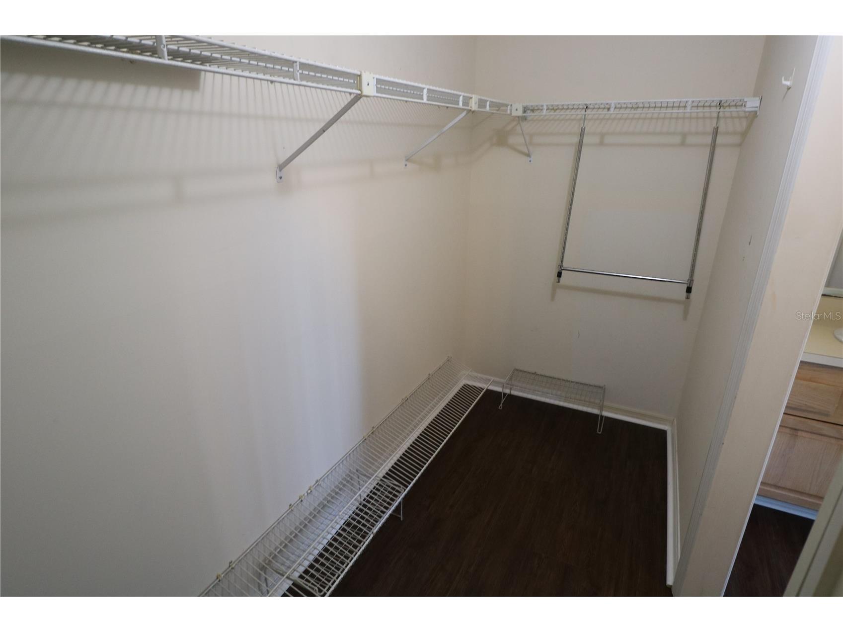5424 Saddlebrook Way Wesley Chapel FL 33543 TB8503897 image28