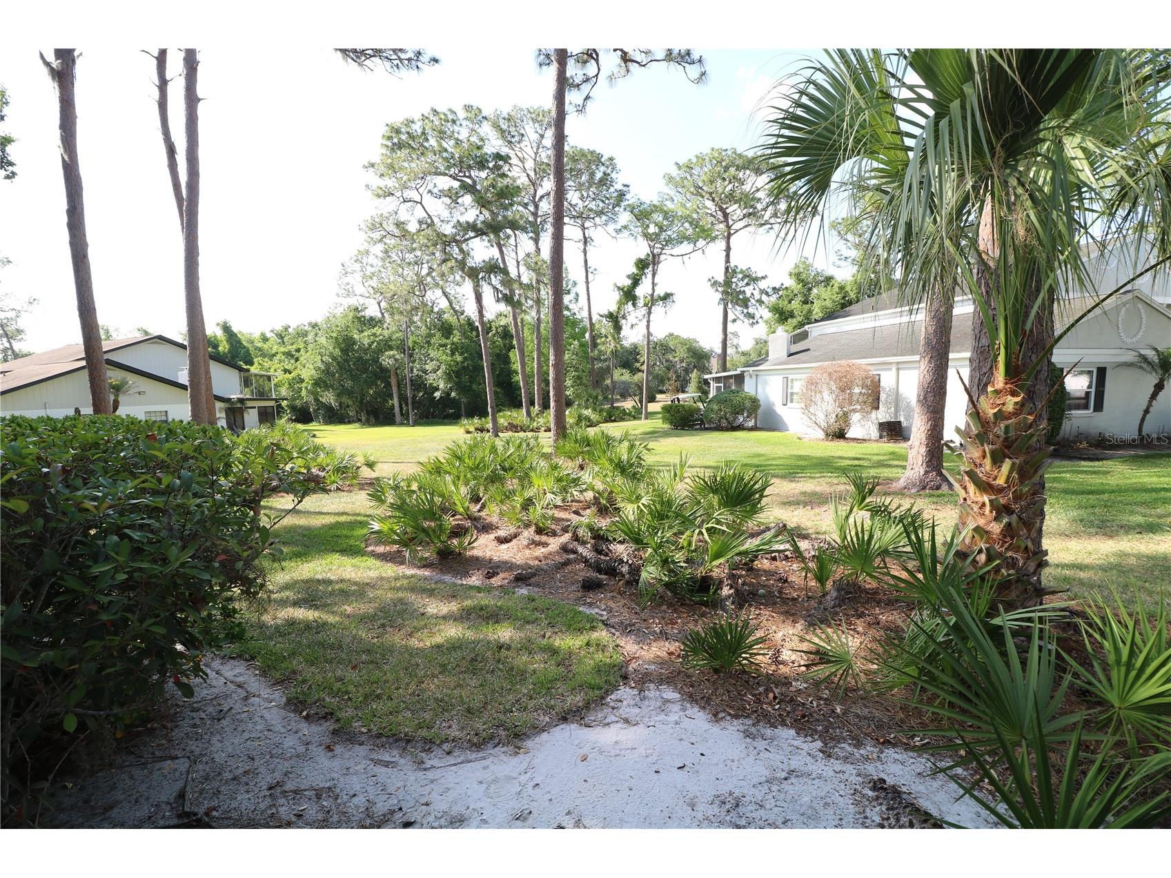 5424 Saddlebrook Way Wesley Chapel FL 33543 TB8503897 image47