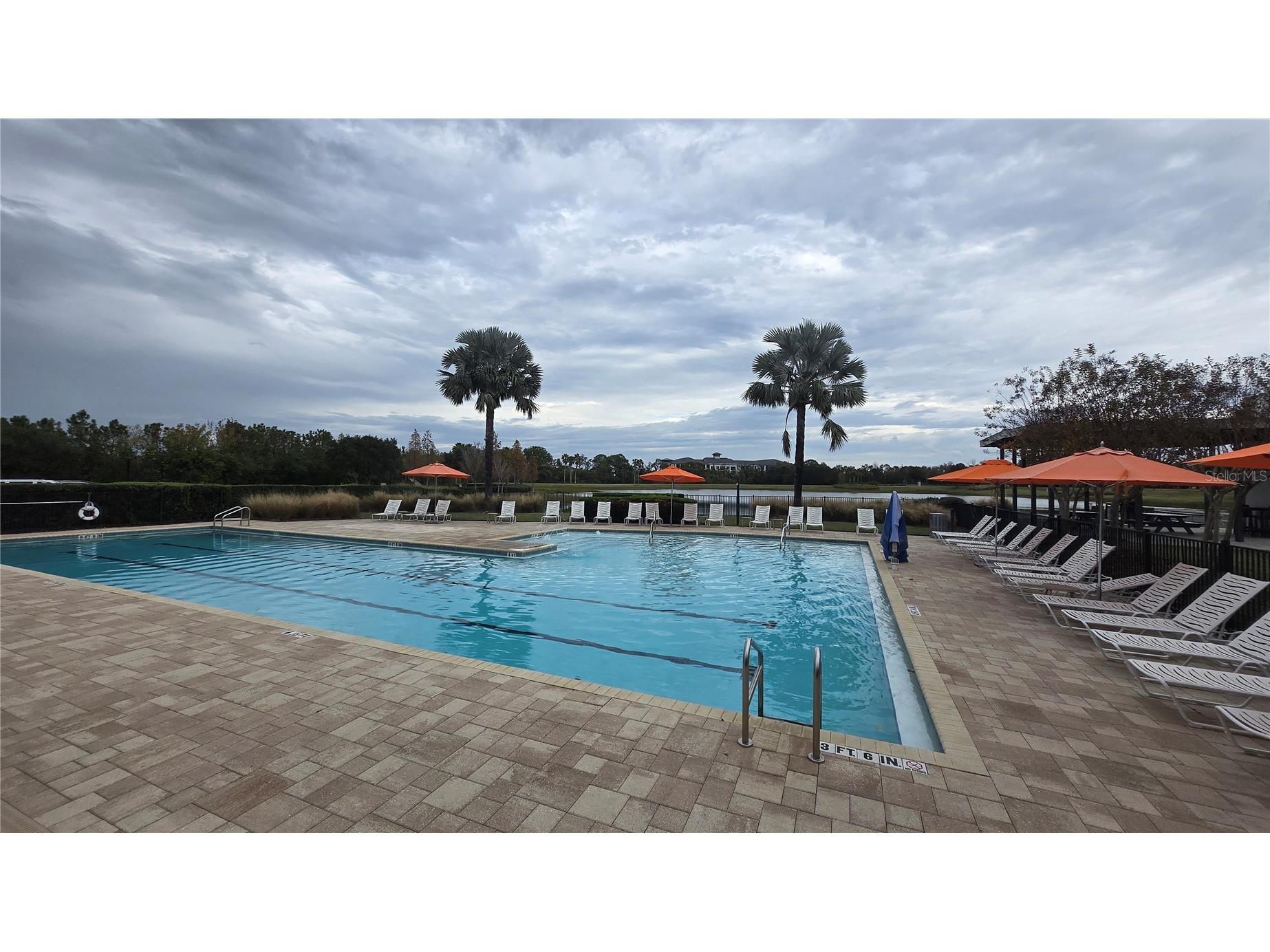 5424 Summer Sunset Drive Apollo Beach FL 33572 TB8457477 image57