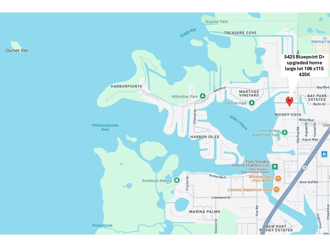 5425 Bluepoint Drive Port Richey FL 34668 - MILLERS BAYOU COTTEE RIVER TB8376478 image1