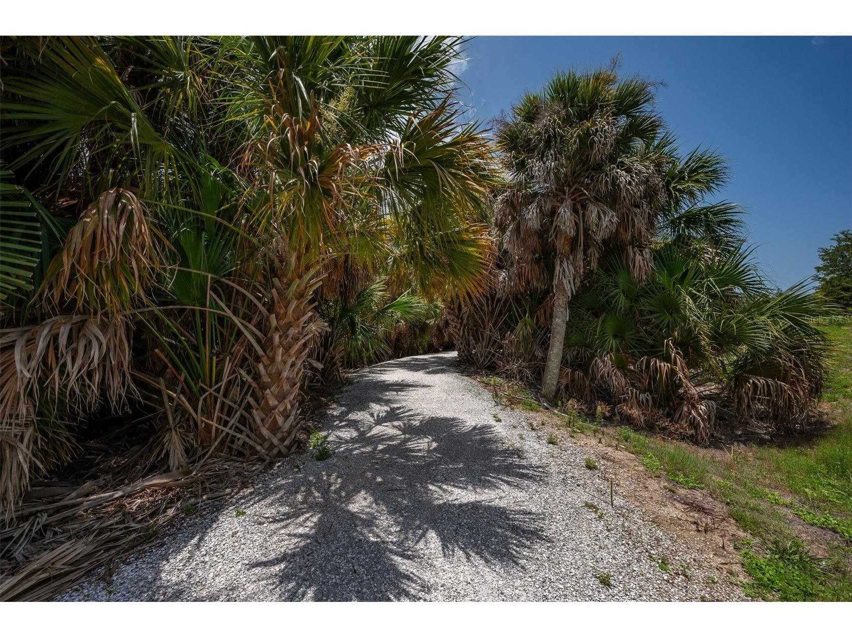 5425 Cicerone Street #101 Sarasota FL 34238 A4699543 image28