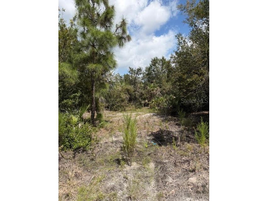 5425 Jacaranda Drive Punta Gorda FL 33982 G5094879 image3