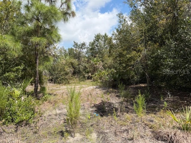 5425 Jacaranda Drive Punta Gorda FL 33982 G5094879 image4