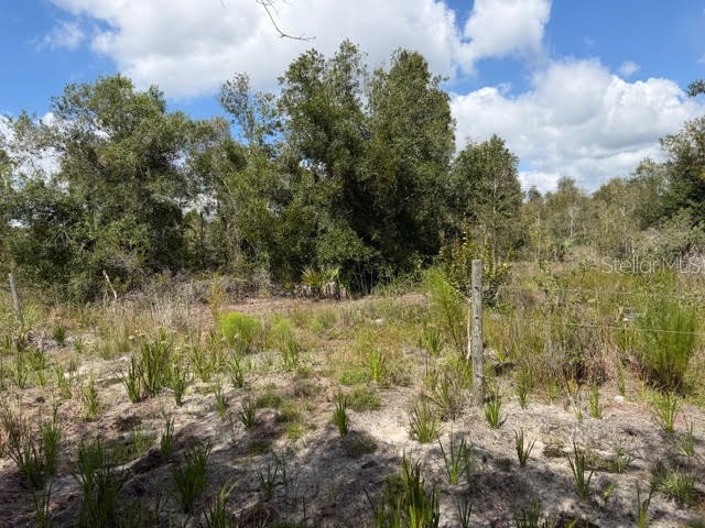 5425 Jacaranda Drive Punta Gorda FL 33982 G5094879 image6