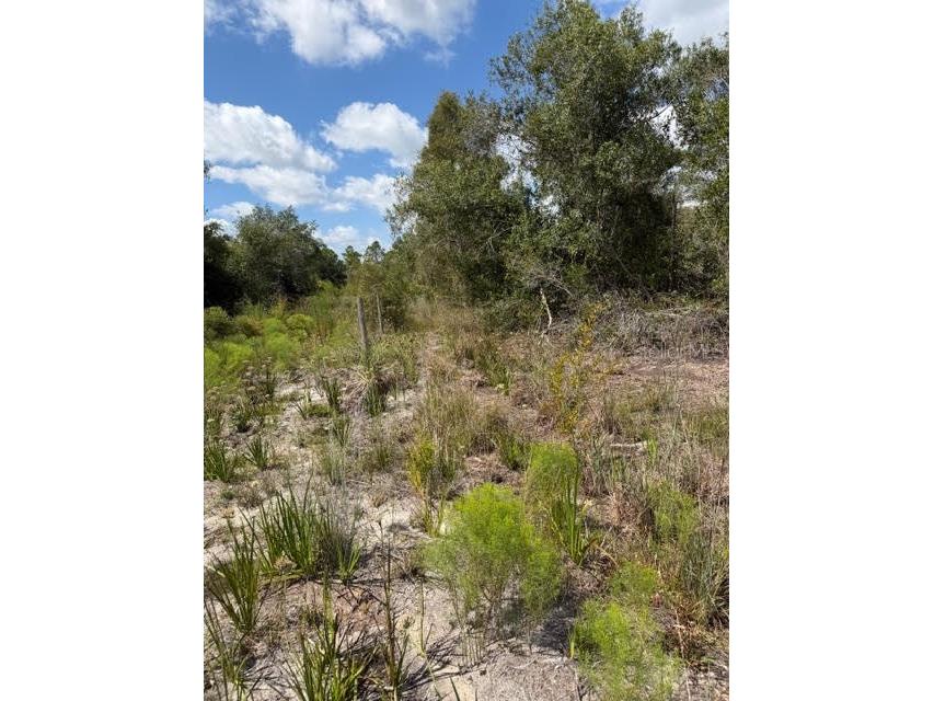 5425 Jacaranda Drive Punta Gorda FL 33982 G5094879 image7