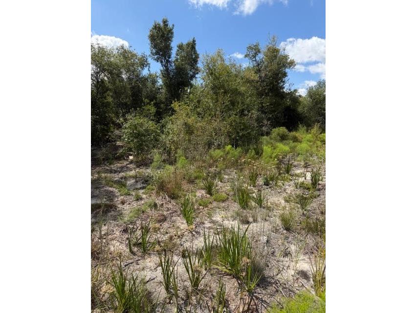 5425 Jacaranda Drive Punta Gorda FL 33982 G5094879 image8