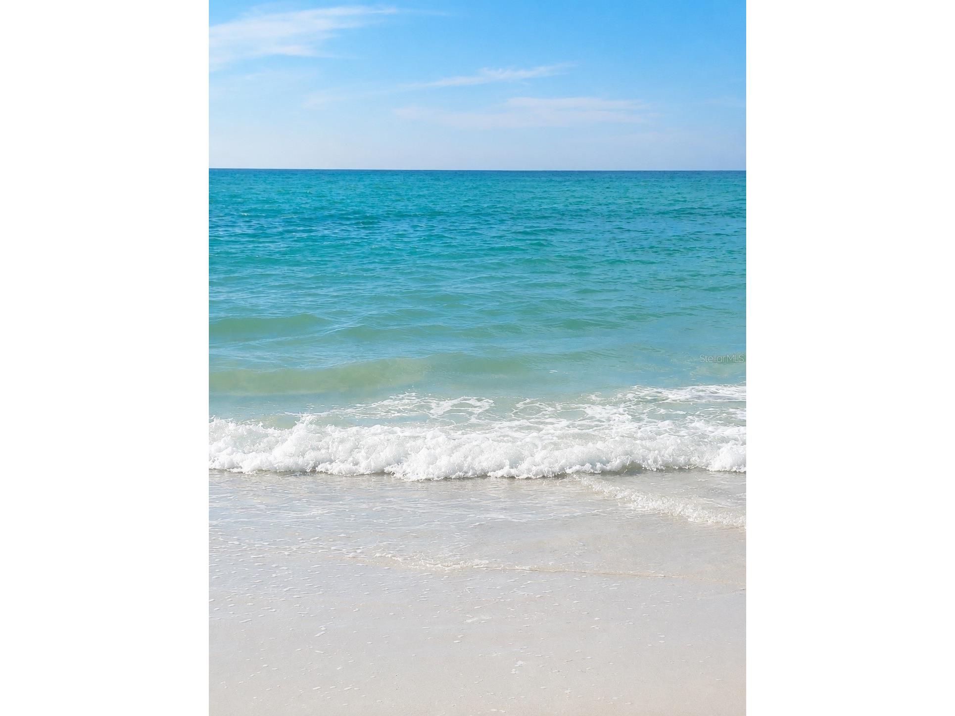 5425 Matthew Court Sarasota FL 34231 N6144628 image83