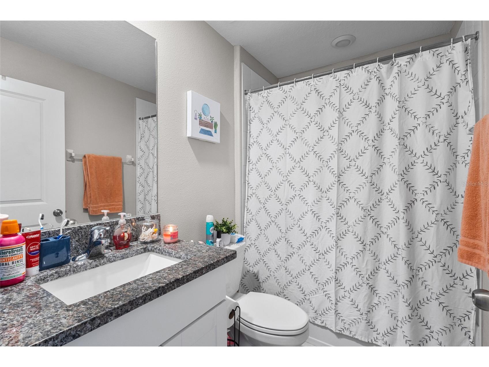 5426 Blue Azure Drive Wimauma FL 33598 TB8484975 image15