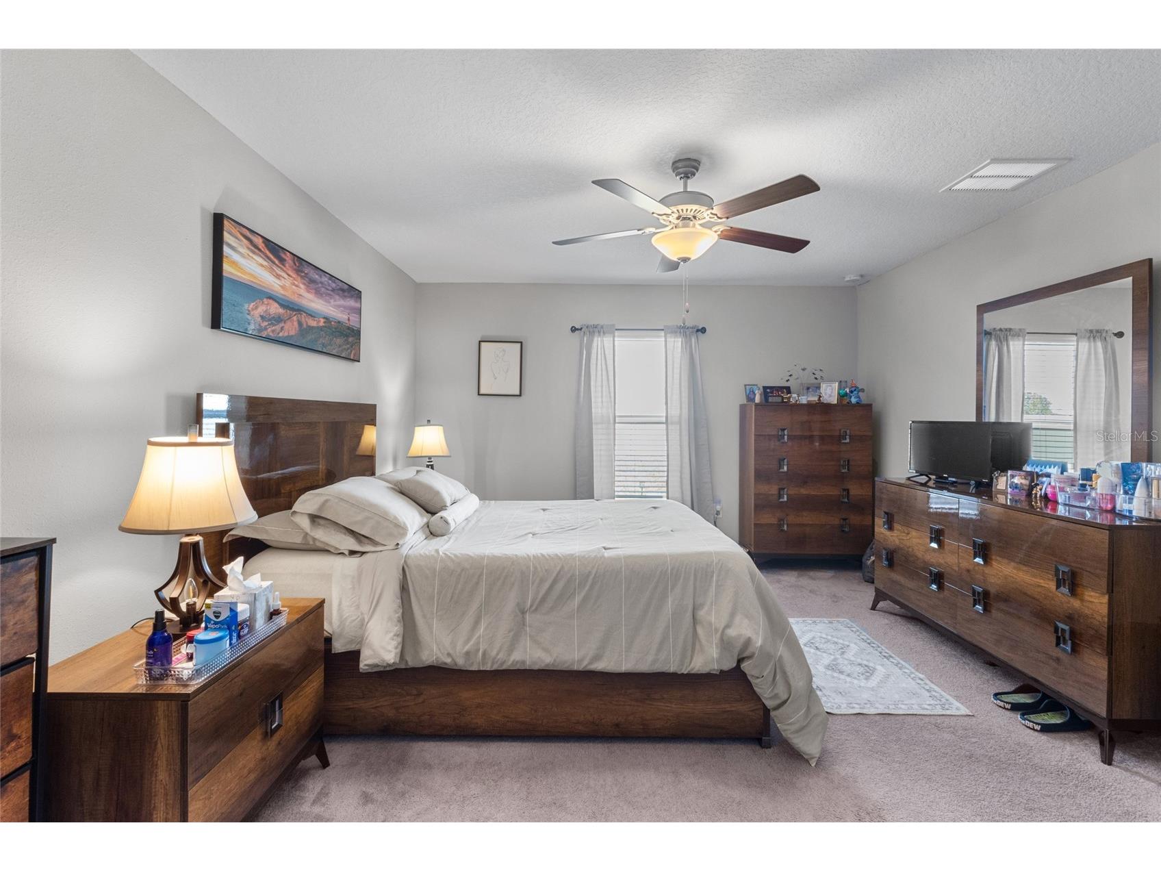 5426 Blue Azure Drive Wimauma FL 33598 TB8484975 image18