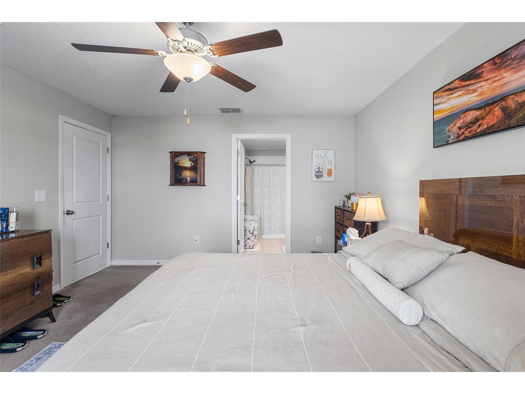 5426 Blue Azure Drive Wimauma FL 33598 TB8484975 image19