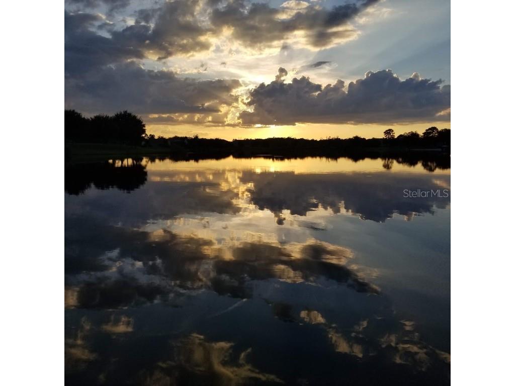 5426 Gemgold Court Windermere FL 34786 - BLUEBIRD POND O6354639 image53