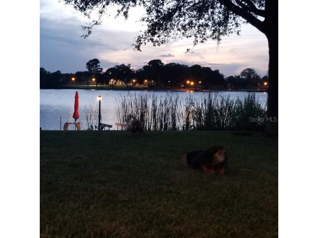 5426 Gemgold Court Windermere FL 34786 - BLUEBIRD POND O6354639 image57