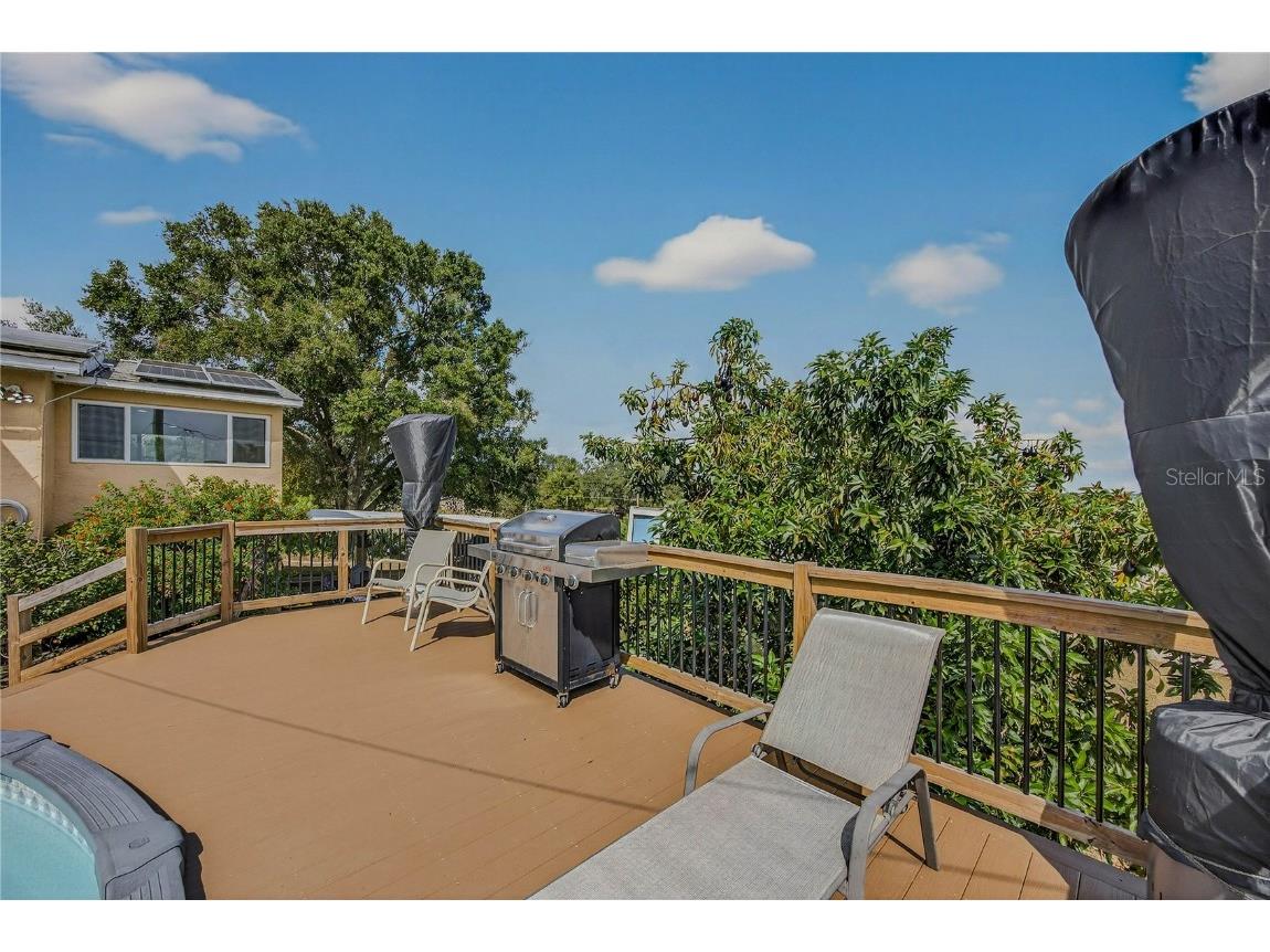 5426 Griffin View Drive Lady Lake FL 32159 - LAKE GRIFFIN TB8431357 image38