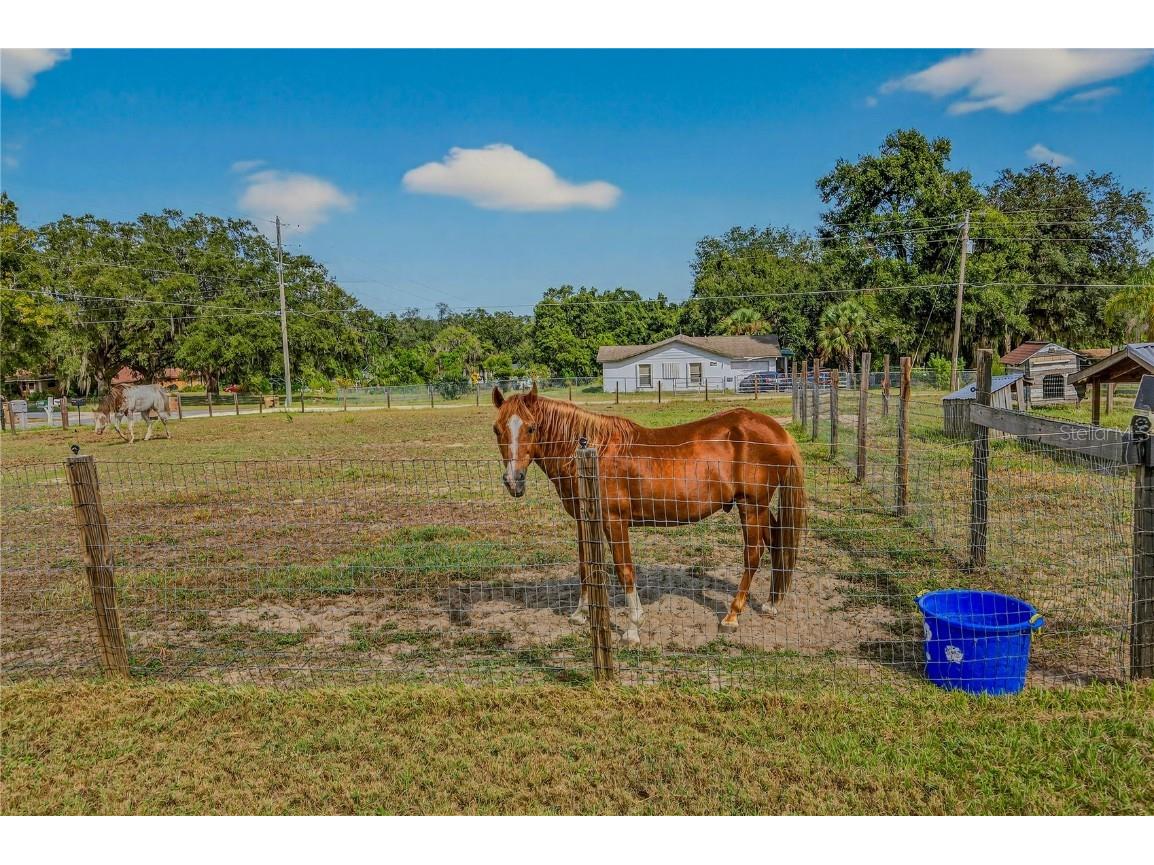 5426 Griffin View Drive Lady Lake FL 32159 - LAKE GRIFFIN TB8431357 image44