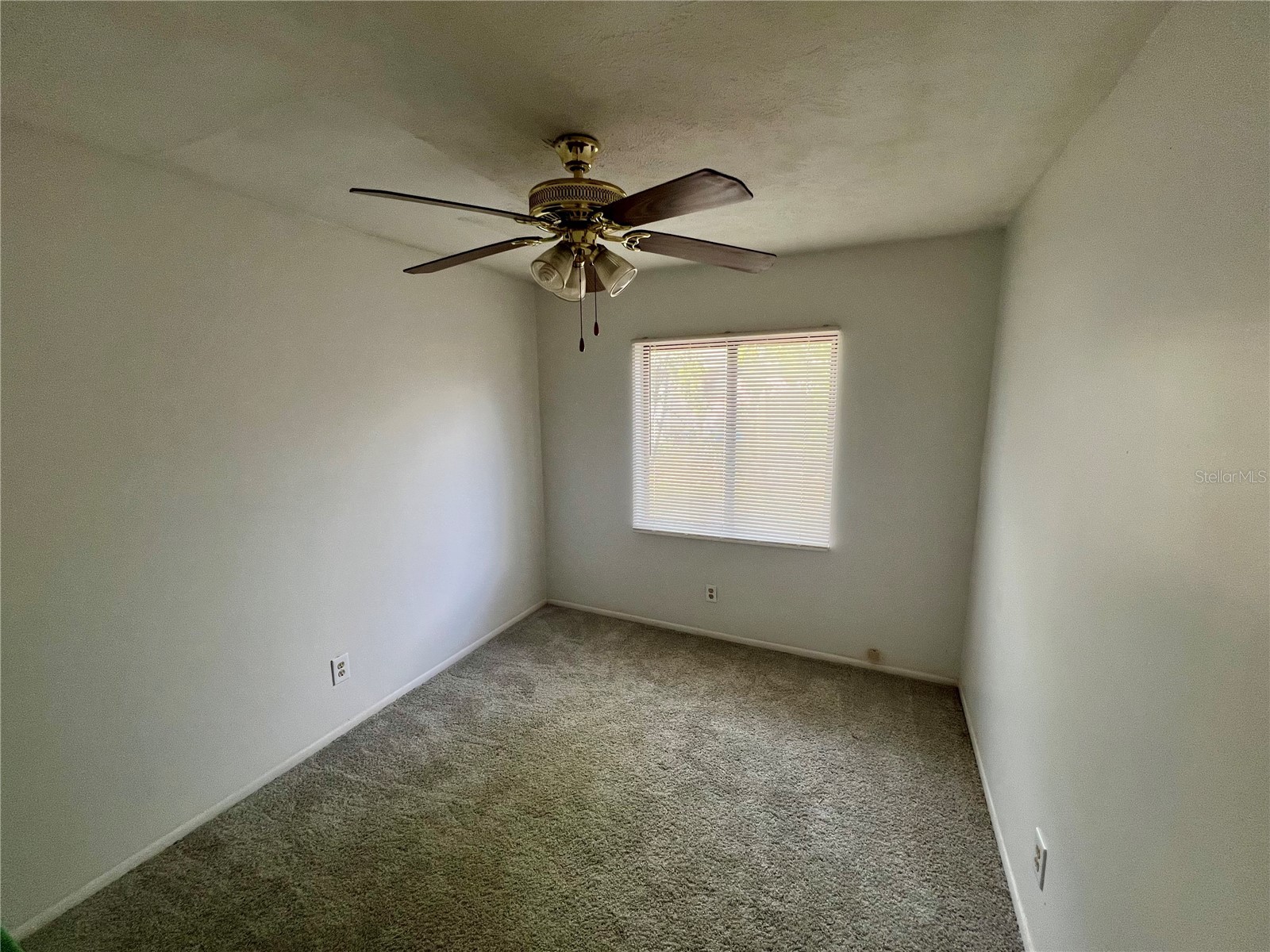5427 95th Terrace N Pinellas Park FL 33782 TB8464000 image15