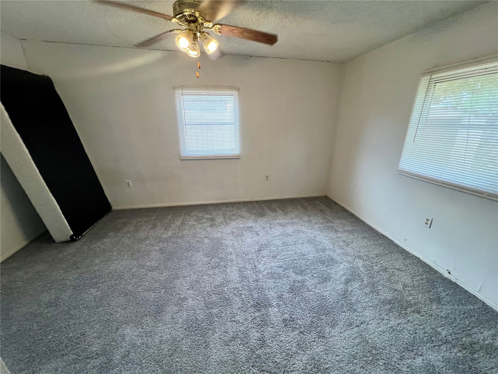 5427 95th Terrace N Pinellas Park FL 33782 TB8464000 image25