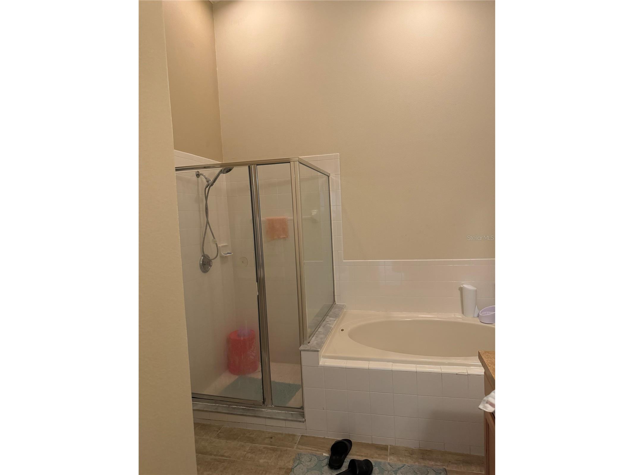 5427 Bryce Canyon Drive Kissimmee FL 34758 V4949600 image7