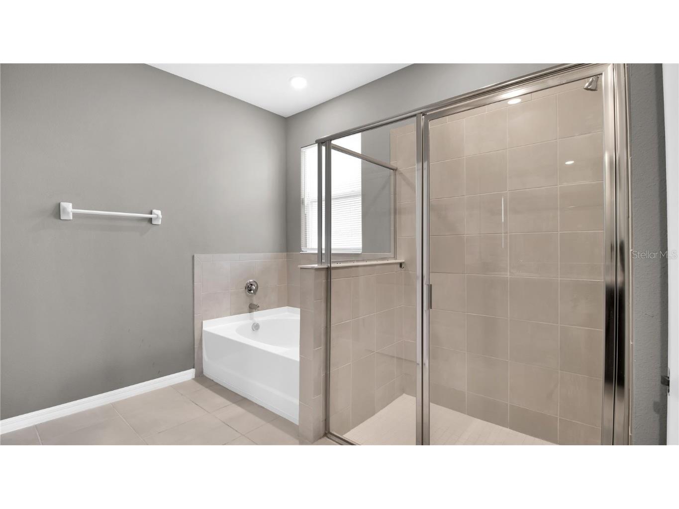 5427 Flint Hills Drive Wimauma FL 33598 TB8457074 image20