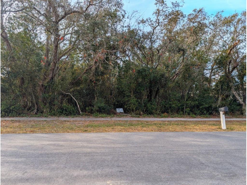 5427 Roble Avenue Spring Hill FL 34608 TB8340798 image1