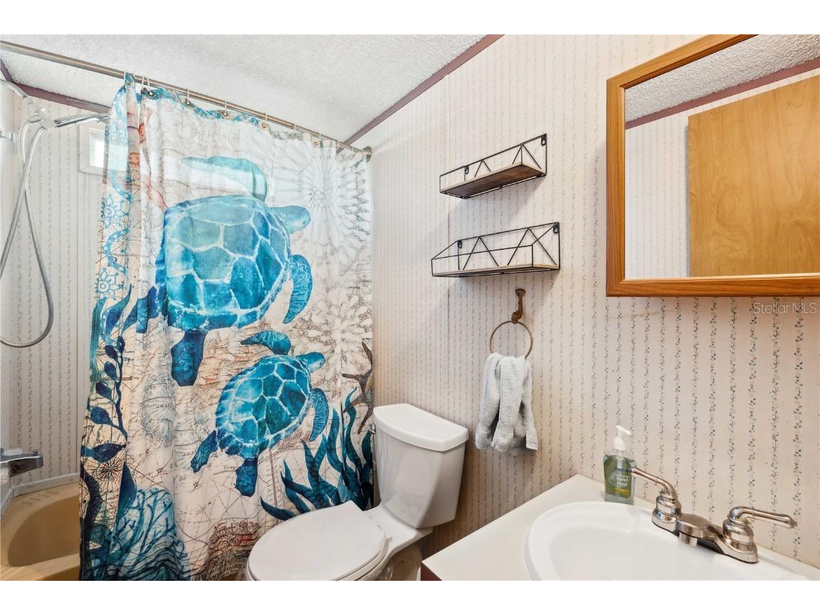 5428 Joyce Street Zephyrhills FL 33542 TB8377325 image21