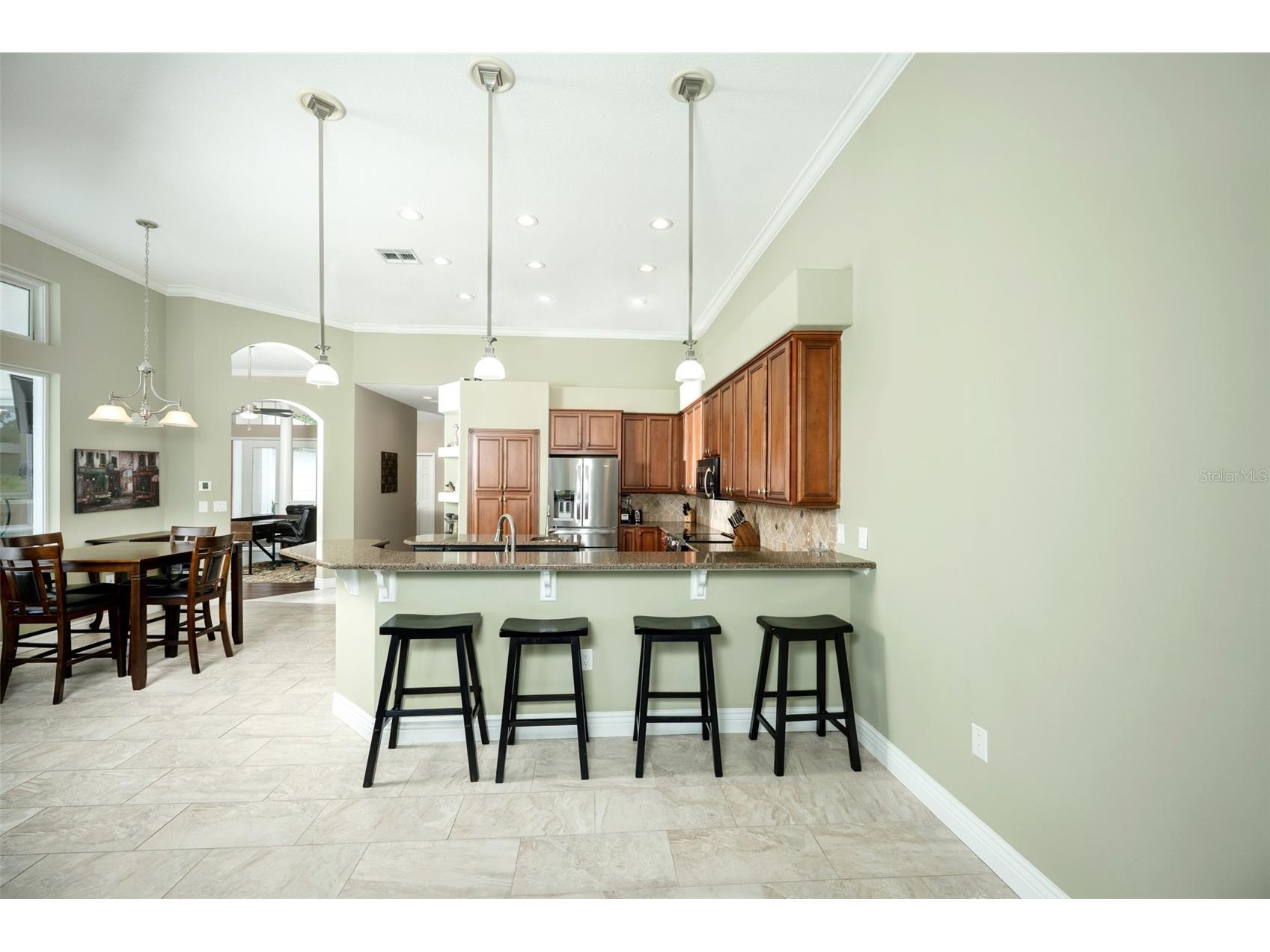 5429 Burnt Hickory Drive Valrico FL 33596 A4700752 image13