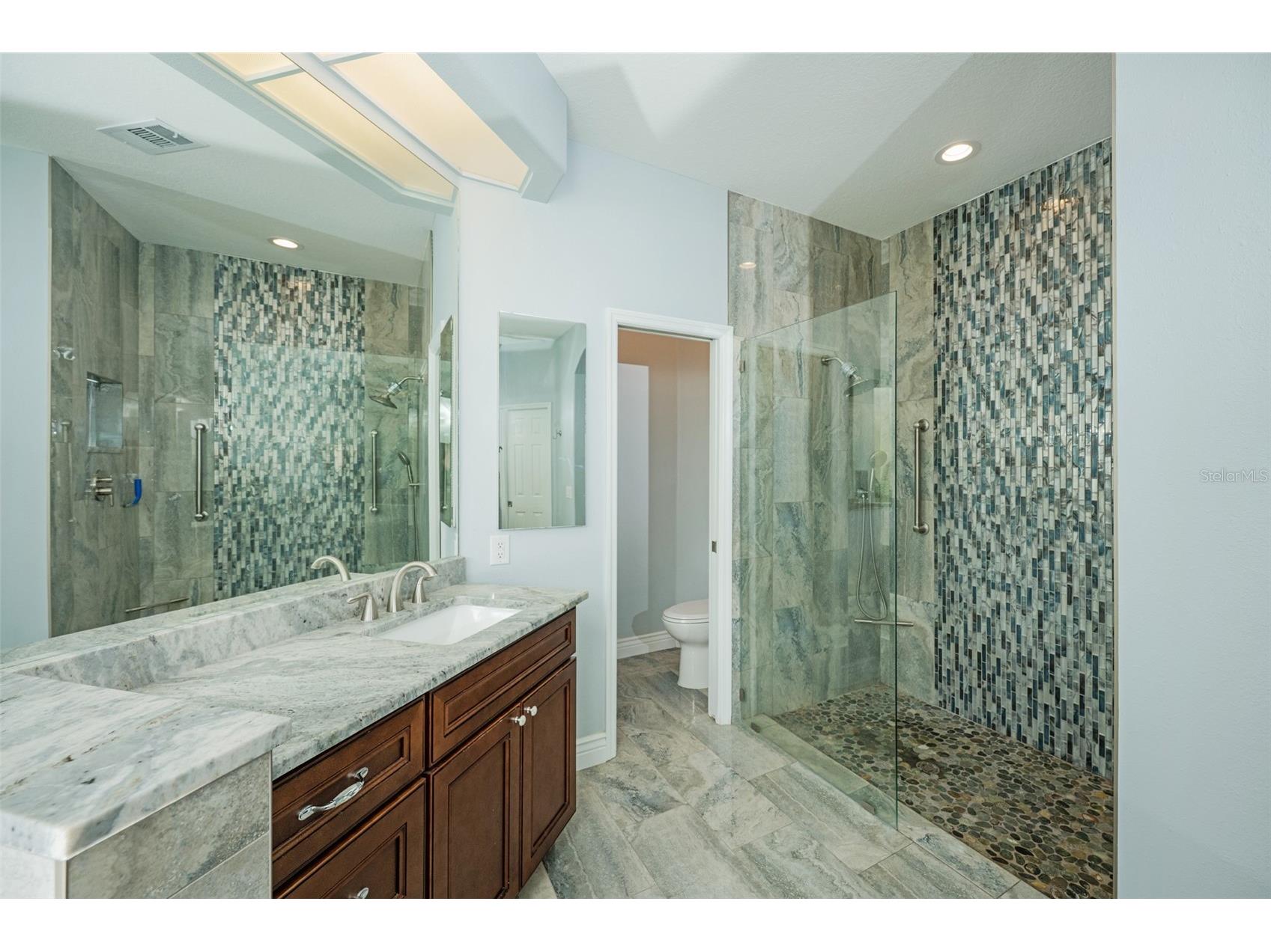 5429 Burnt Hickory Drive Valrico FL 33596 A4700752 image20
