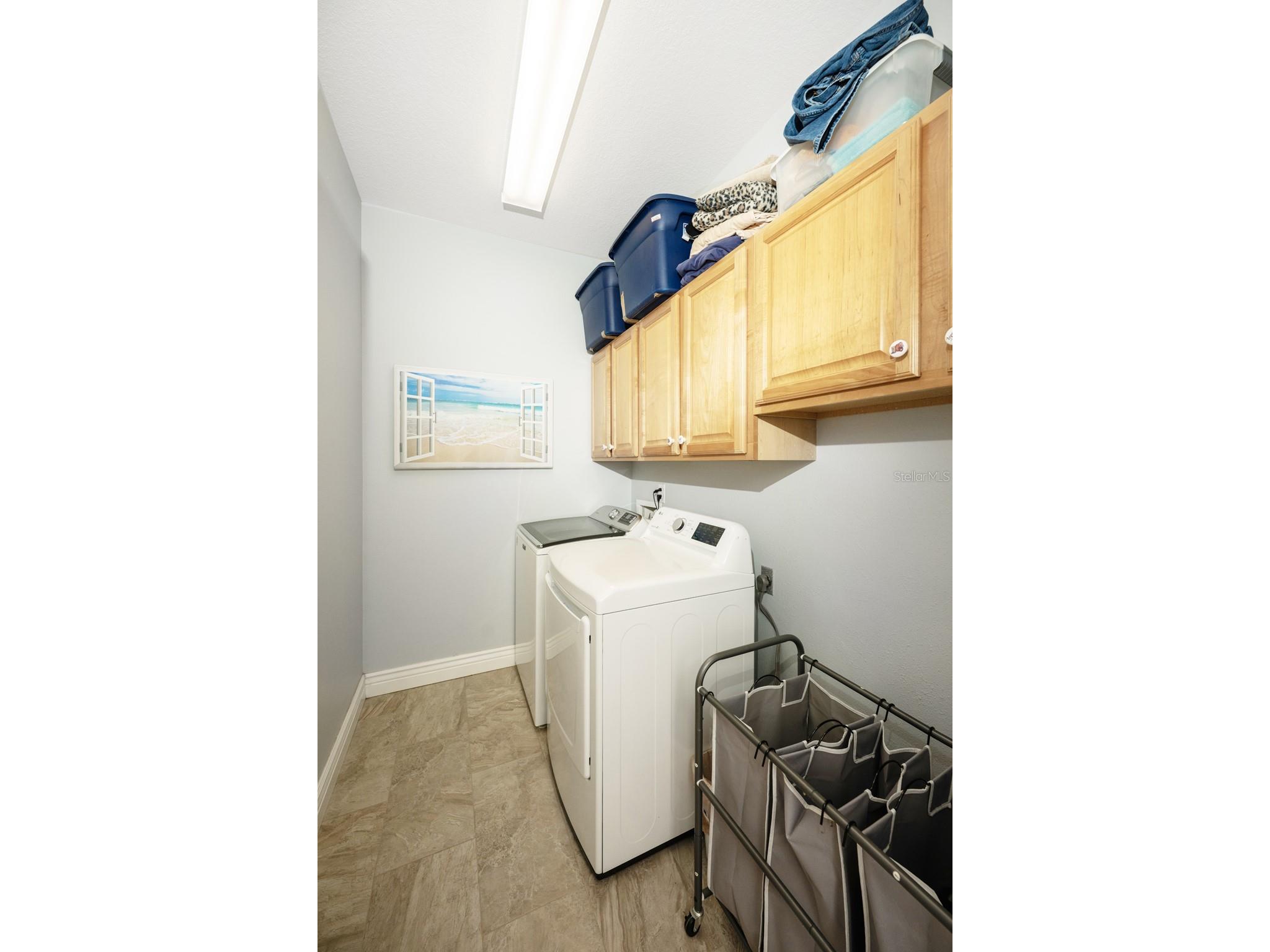 5429 Burnt Hickory Drive Valrico FL 33596 A4700752 image31