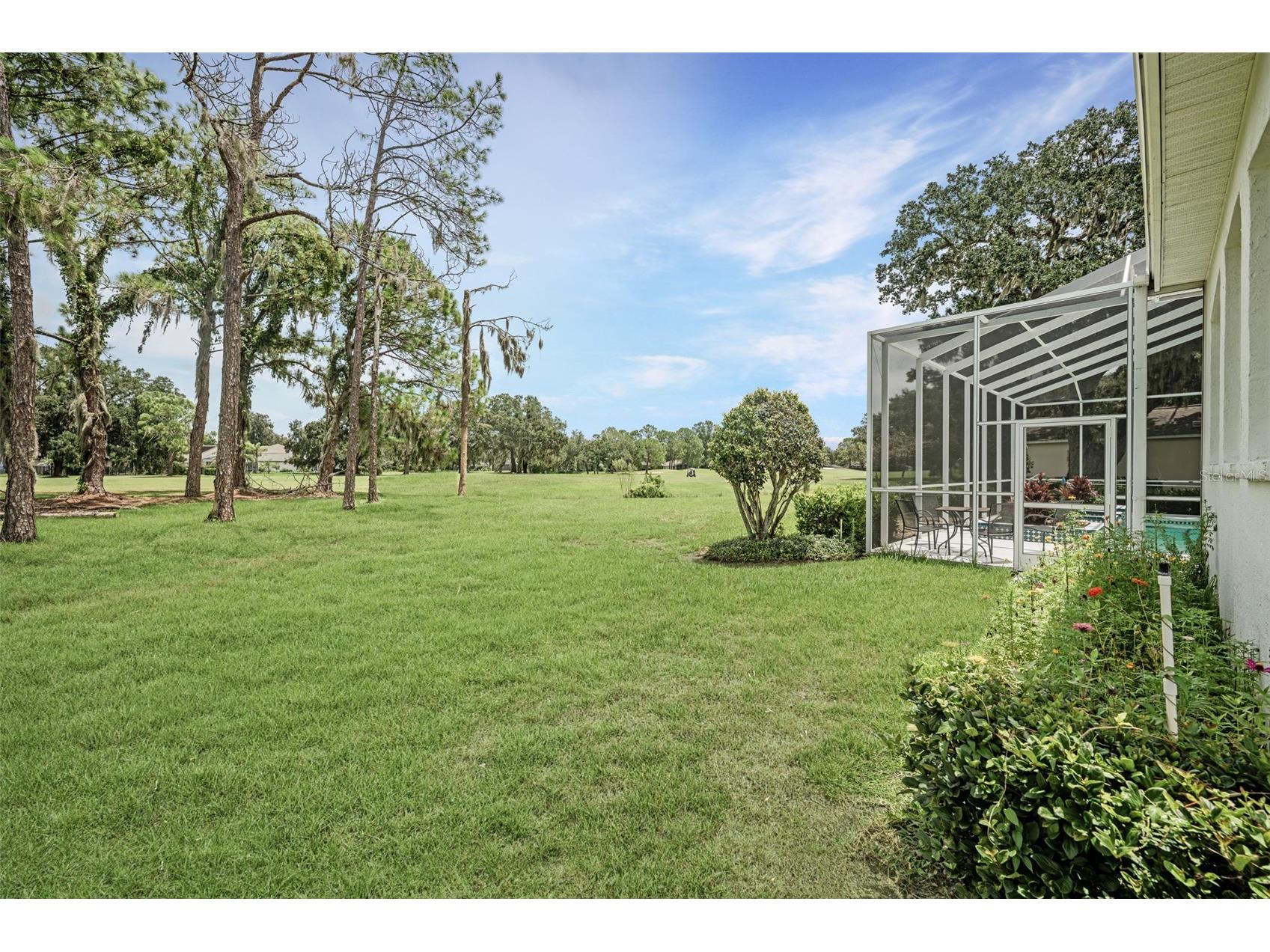 5429 Burnt Hickory Drive Valrico FL 33596 A4700752 image36