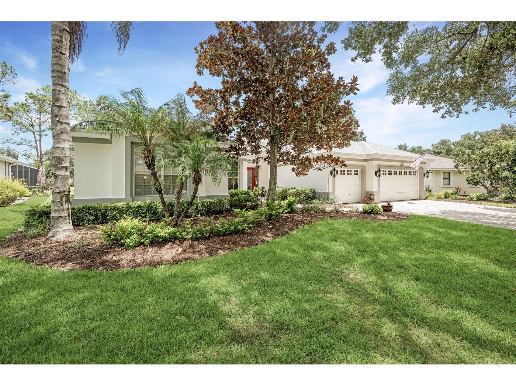 5429 Burnt Hickory Drive Valrico FL 33596 A4700752 image38